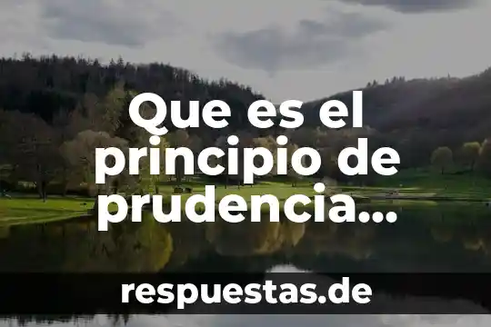 Qué es obra de principio 7 Que es el principio de prudencia directiva