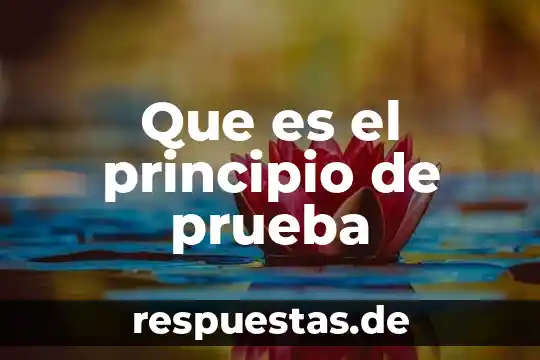 Qué es obra de principio 8 Que es el principio de prueba