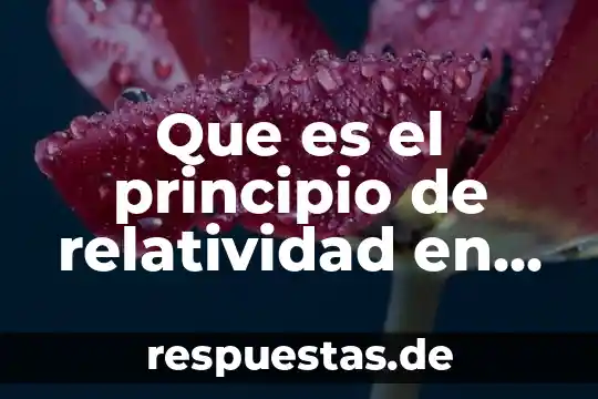 Que es el principio de relatividad en derecho