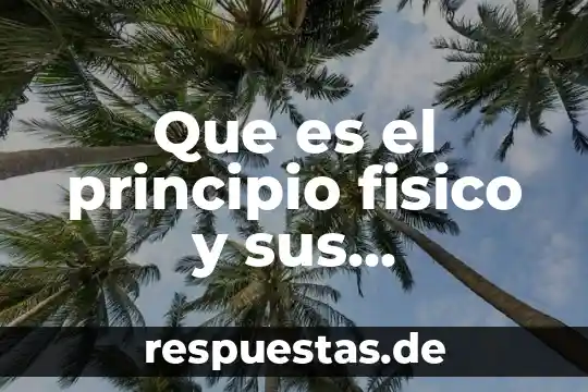 Que es el principio fisico y sus caracteristicas