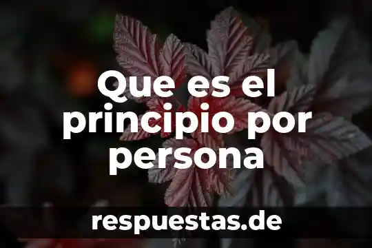 Que es un principio y que es una ley 3 Que es el principio por persona