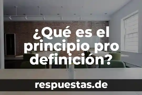 Que es pro nombre en ingles 5 ¿Qué es el principio pro definición?