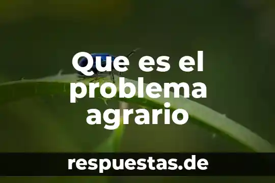 Que es un problema socio-ambiental tesis 5 Que es el problema agrario
