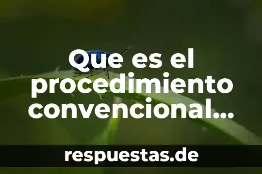 Que es una sociedad mercantil de hecho 4 Que es el procedimiento convencional en materia mercantil