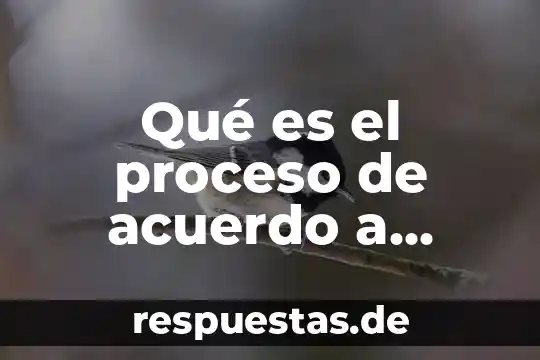 Qué es el proceso de acuerdo a fundamentos de la investigación