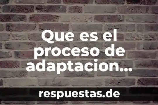 Qué es la filosofía distintos autores 6 Que es el proceso de adaptacion segun autores infantiles