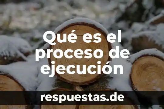 Qué es el proceso de ejecución