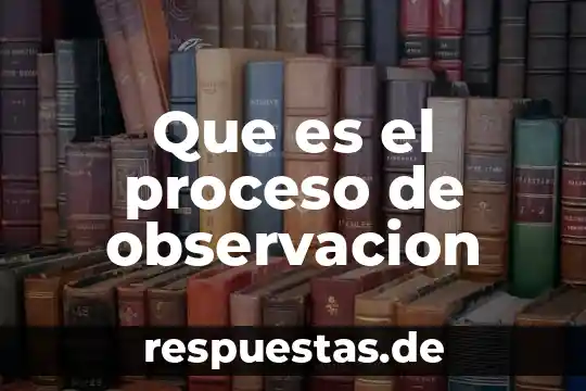 Qué es el interés observación del proceso escolar 4 Que es el proceso de observacion