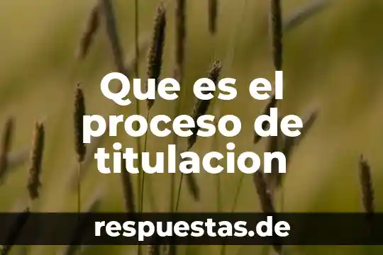 Qué es un proceso y qué es un procedimiento 5 Que es el proceso de titulacion