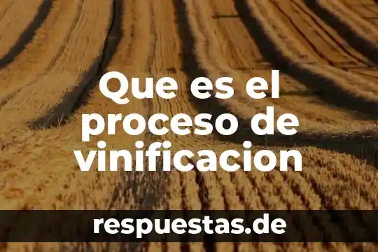 Qué es un proceso y qué es un procedimiento 3 Que es el proceso de vinificacion