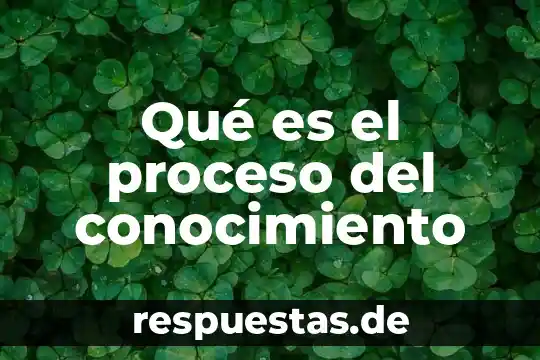 Qué es un proceso administrativo en derecho 3 Qué es el proceso del conocimiento
