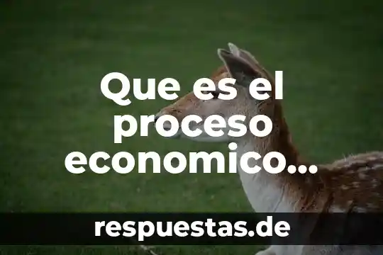 Qué es un estado definición para niños 3 Que es el proceso economico para niños