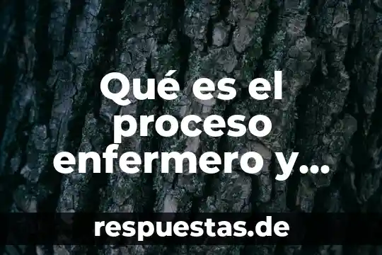 Que es la identidad digital y cuales son sus caracteristicas 4 Qué es el proceso enfermero y cuáles son sus pasos