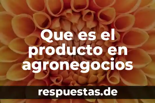 Que es actitud del producto 8 Que es el producto en agronegocios