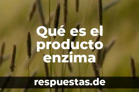 Qué es un sistema constitutivo de una enzima 3 Qué es el producto enzima