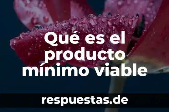 Que es un minimo comun multiplo en matematicas 7 Qué es el producto mínimo viable