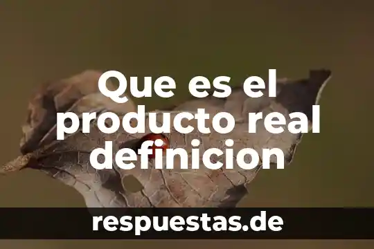 Qué es una definición fichero bibliográficas 3 Que es el producto real definicion