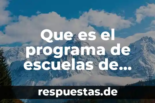 Qué es una empresa constituida en sociedad en Bolivia 4 Que es el programa de escuelas de calidad