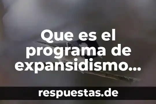 Que es aplicacion o programa 4 Que es el programa de expansidismo en apatzingan