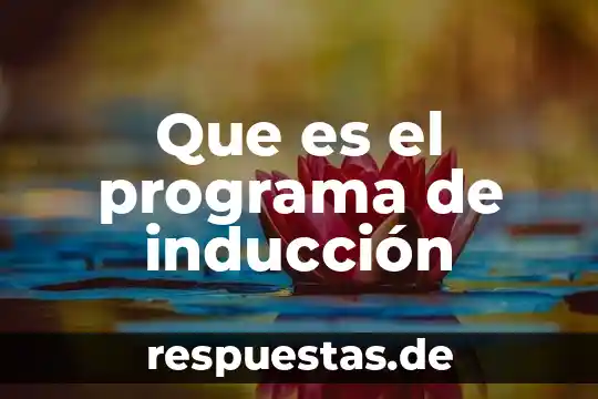 Que es aplicacion o programa 6 Que es el programa de inducción