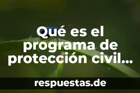 Qué es el proceso civil definición 5 Qué es el programa de protección civil escolar