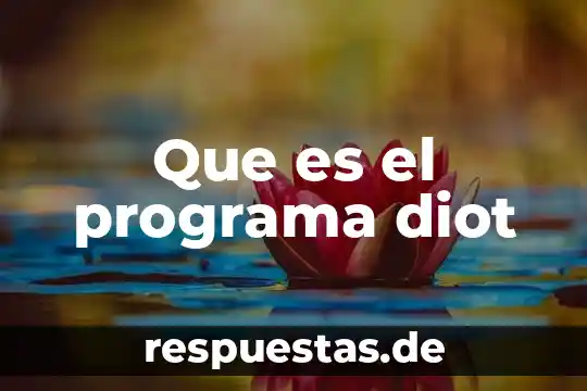 Que es el programa constructor 6 Que es el programa diot