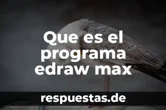 Que es el programa edraw max