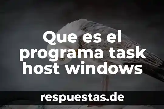 Que es un programa de vigilancia 4 Que es el programa task host windows