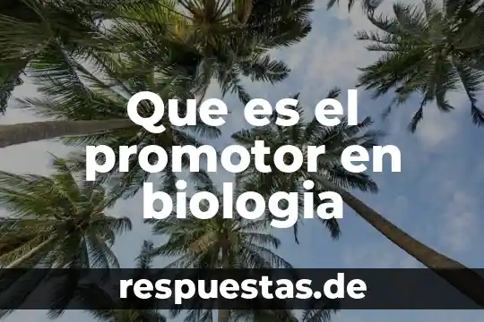 Qué es un principio en ciencia 4 Que es el promotor en biologia
