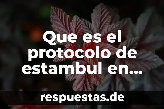 Qué es el estado del arte según protocolo de investigación 8 Que es el protocolo de estambul en mexico