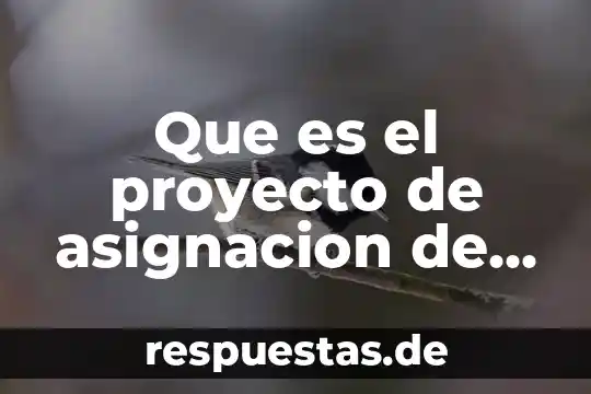 Que es el proyecto de asignacion de porcentaje