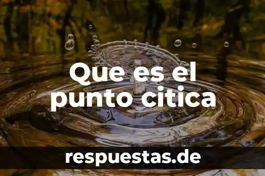 Que es es un punto de vista 3 Que es el punto citica