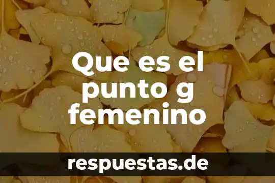 Que es la distancia entre un punto y una recta 7 Que es el punto g femenino