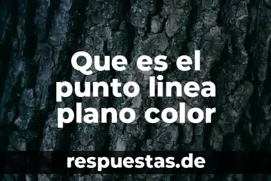 Que es el color caso del buhu 3 Que es el punto linea plano color