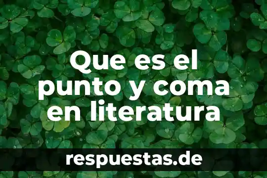 Que es el punto y coma en literatura