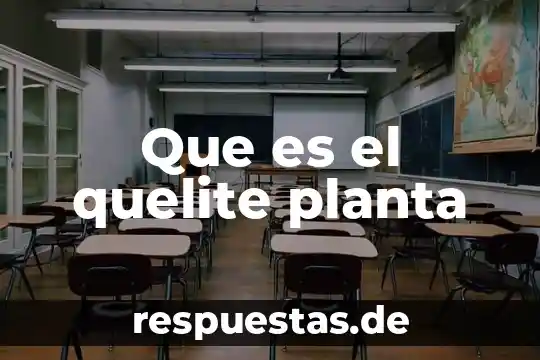 Qué es una planta de saneamiento 4 Que es el quelite planta