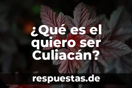 Que es ser sad 8 ¿Qué es el quiero ser Culiacán?