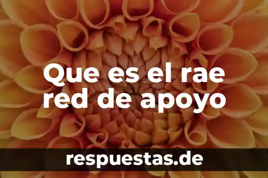 Que es investigar rae 7 Que es el rae red de apoyo
