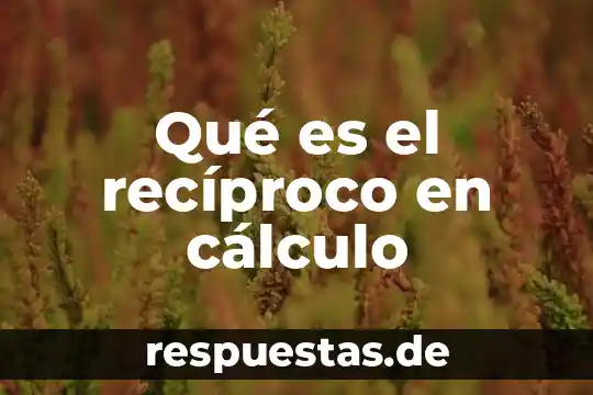 Qué es límite en cálculo y los tipos 6 Qué es el recíproco en cálculo