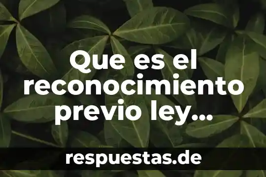 Qué es un conocimiento previo en preescolar 3 Que es el reconocimiento previo ley aduanera