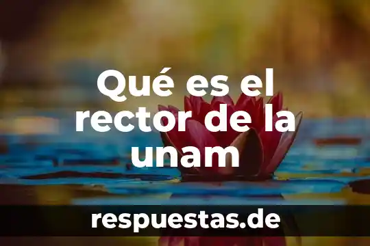 Qué es el riu unam 7 Qué es el rector de la unam