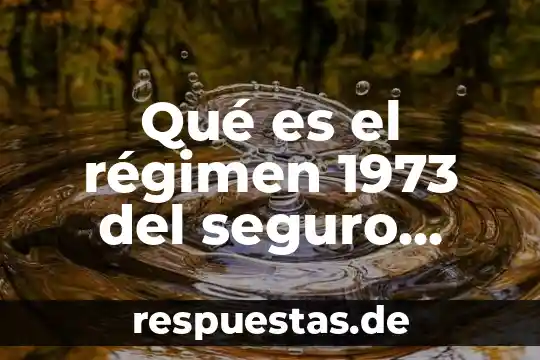Qué es razón social o número 5 Qué es el régimen 1973 del seguro social