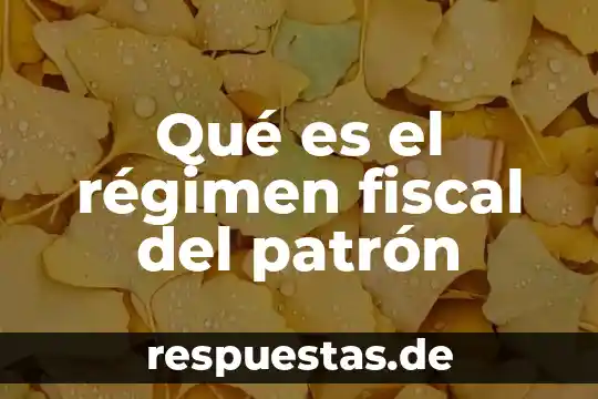Qué es la TFTC en fiscal significado 4 Qué es el régimen fiscal del patrón