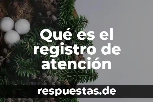 Qué es el registro de valores 6 Qué es el registro de atención