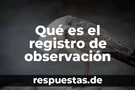 Qué es la observación significado y características 6 Qué es el registro de observación