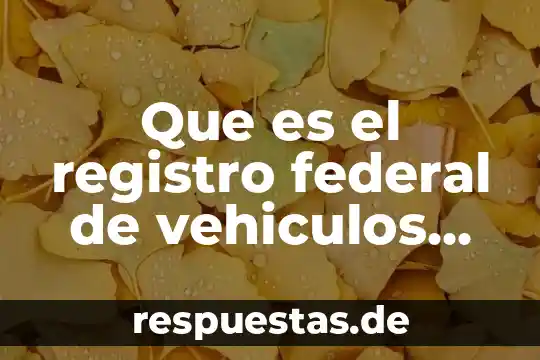 Qué es la proyección ejemplo 3 Que es el registro federal de vehiculos ejemplo