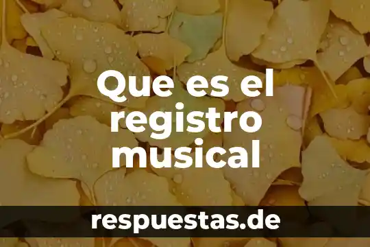 Libertad musical que es 3 Que es el registro musical