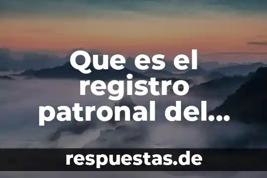 Qué es el registro de valores 4 Que es el registro patronal del contribuyentes