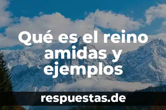 Que es el reino anidas y ejemplos 3 Qué es el reino amidas y ejemplos