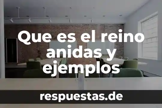 Qué es el reino sarcodinos en biología 8 Que es el reino anidas y ejemplos